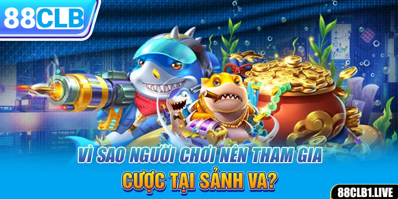 Vì sao người chơi nên tham gia cược tại sảnh VA?